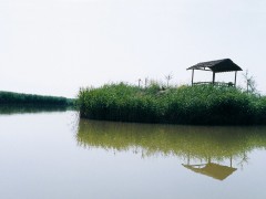 简介：
