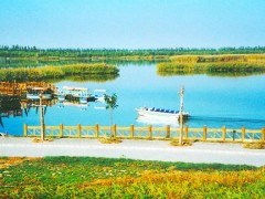 鸣翠湖—瞰（入选）