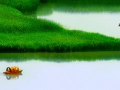 轻舟行（优秀奖）