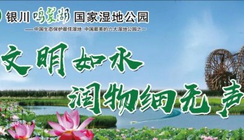 银川鸣翠湖国家湿地公园：打造文明旅游景区，助力整改创建全国文明城市！