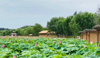 来鸣翠湖的“鸟语林”吧，与上百只孔雀零距离接触。还有系列活动玩转你这个周末！