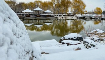 这是20年鸣翠湖遇见的，第一场雪。